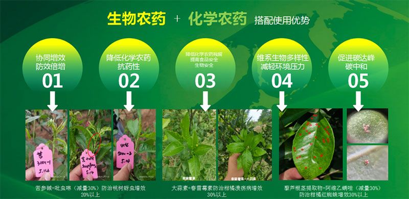 新朝陽在第六屆中國農藥行業市場和銷售高峰論壇做“生物農藥+化學農藥，引領植保市場未來”主題報告